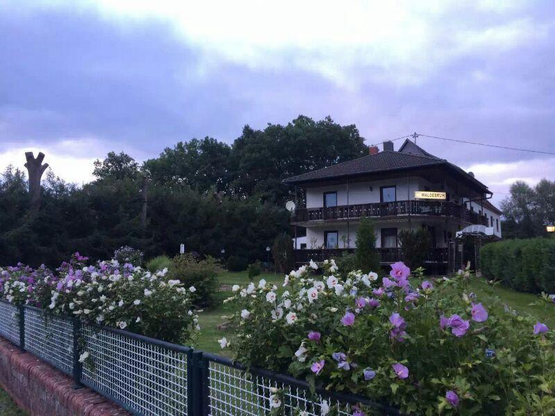 Waldesruh & Hui Hotel Weiersbach Exterior photo